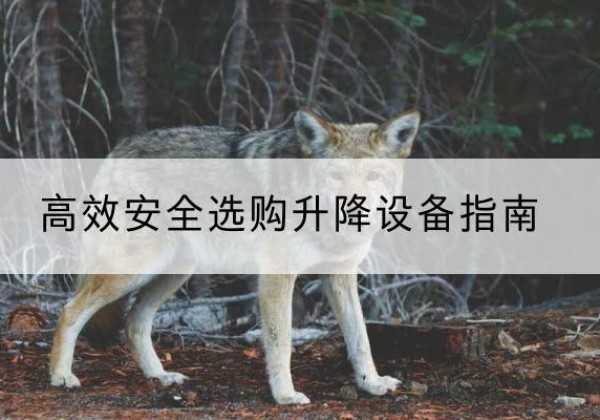 青田升降货梯厂家推荐-*安全选购升降设备指南