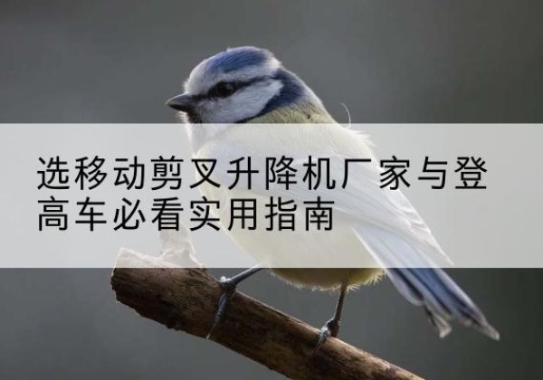 青田电动升降机厂家-选移动剪叉升降机厂家与登高车必看实用指南