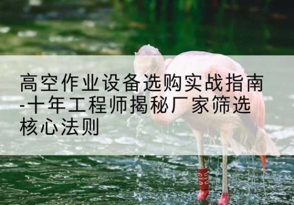 青田剪叉式升降机厂家-高空作业设备选购实战指南-十年工程师揭秘厂家筛选核心法则