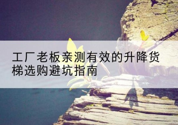 青田升降货梯怎么选-工厂老板亲测有效的升降货梯选购避坑指南
